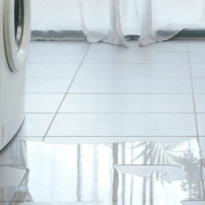 Appliance Leak Cleanup in Leesburg, FL