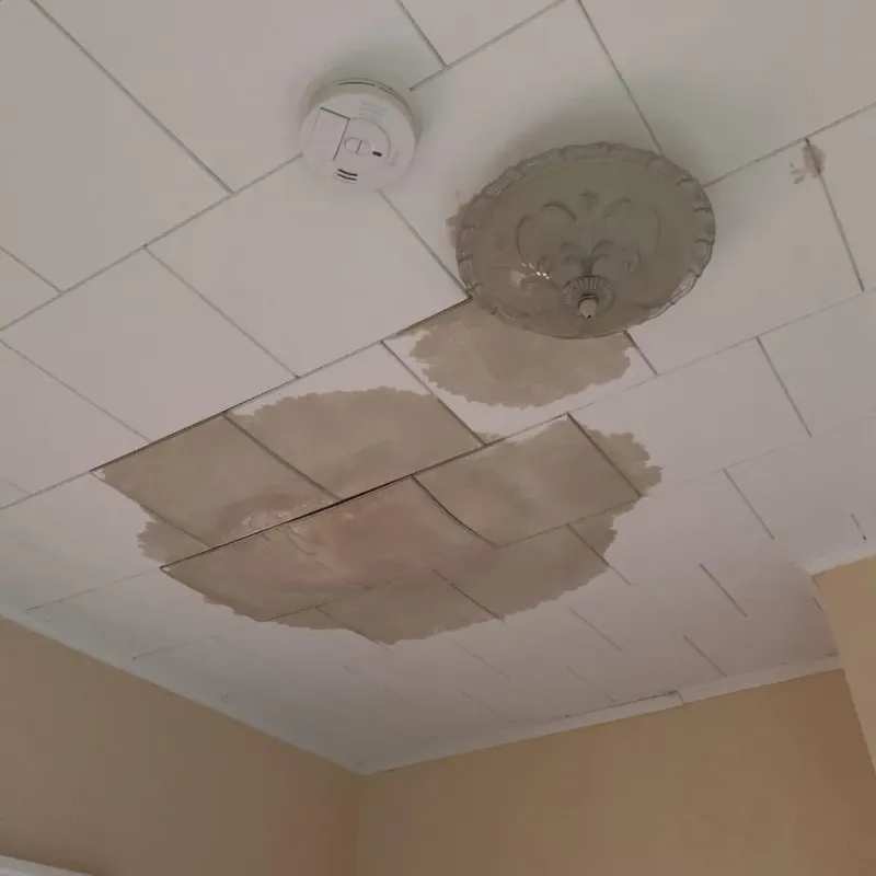 Ceiling Water Damage Repair in Leesburg, FL